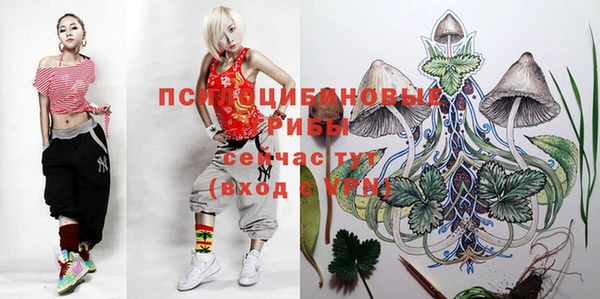 jwh Бугульма