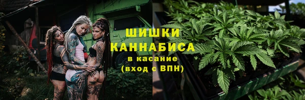 spice Верея