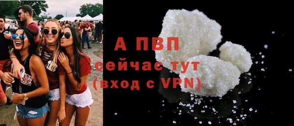 spice Верея