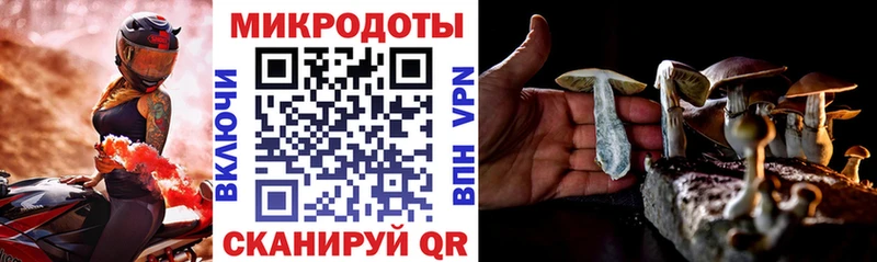 Псилоцибиновые грибы Psilocybine cubensis  ОМГ ОМГ ONION  Сретенск  купить  сайты 
